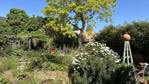Summer Garden- click for photo gallery